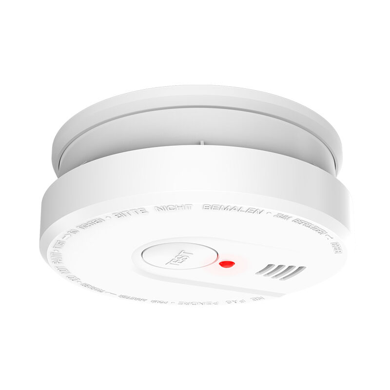 DC3V Fire Smoke Detector Portable Carbon Monoxide Detector Ex Ib LlB