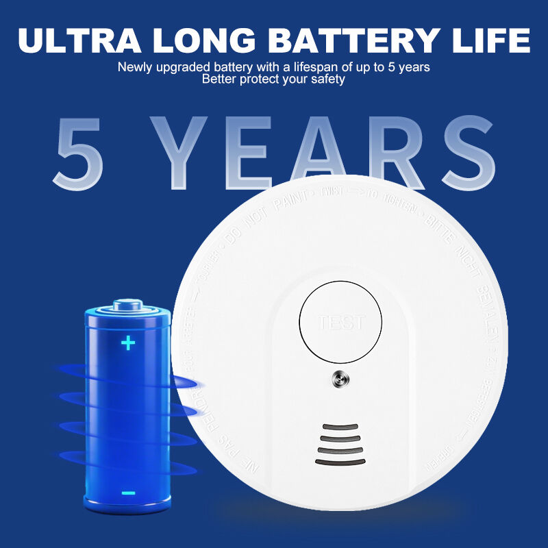 DC3V Fire Smoke Detector Portable Carbon Monoxide Detector Ex Ib LlB